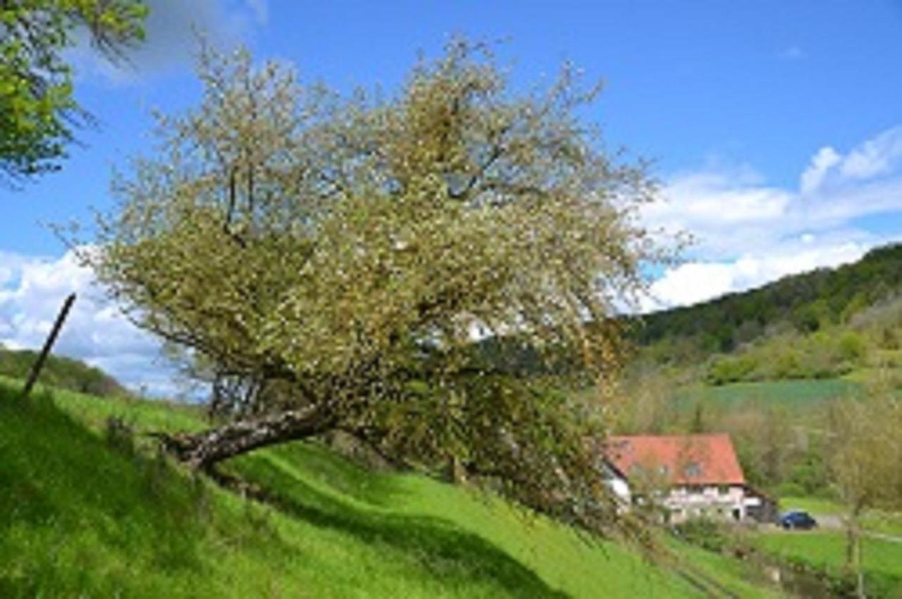 Gasthaus Holdermuehle Creglingen Ngoại thất bức ảnh